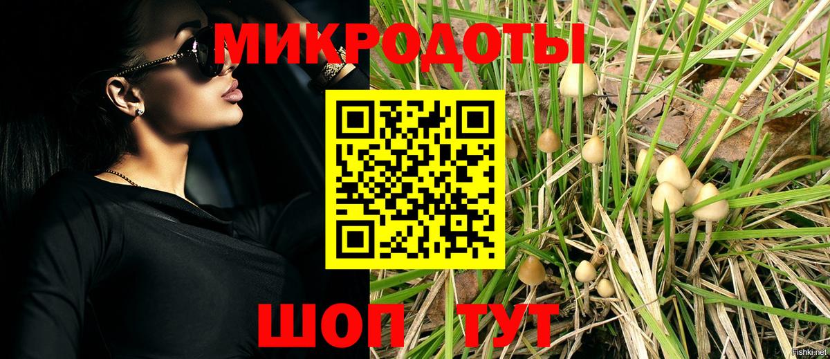 Галлюциногенные грибы ЛСД Павловский Посад